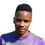 X. Ngcobo